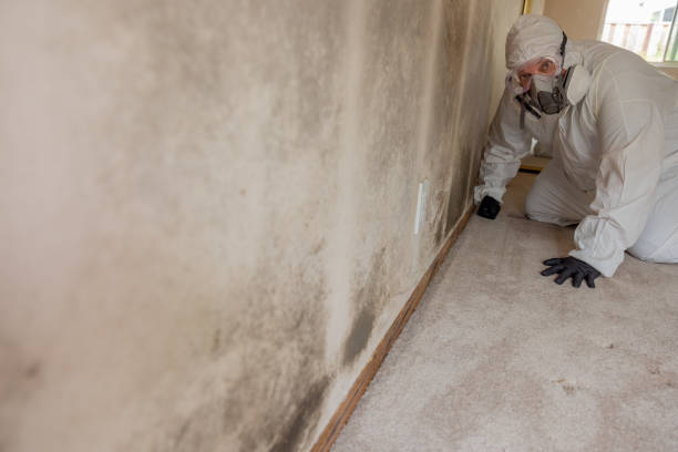 Best Mold Prevention Services  in Martins Additions, MD