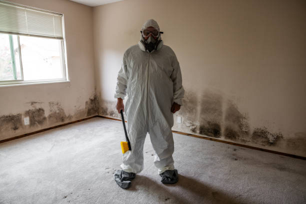 Best Residential Mold Inspection & Testing  in Martins Additions, MD
