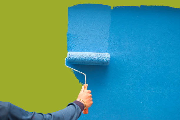 Mold Odor Removal Services in Martins Additions, MD